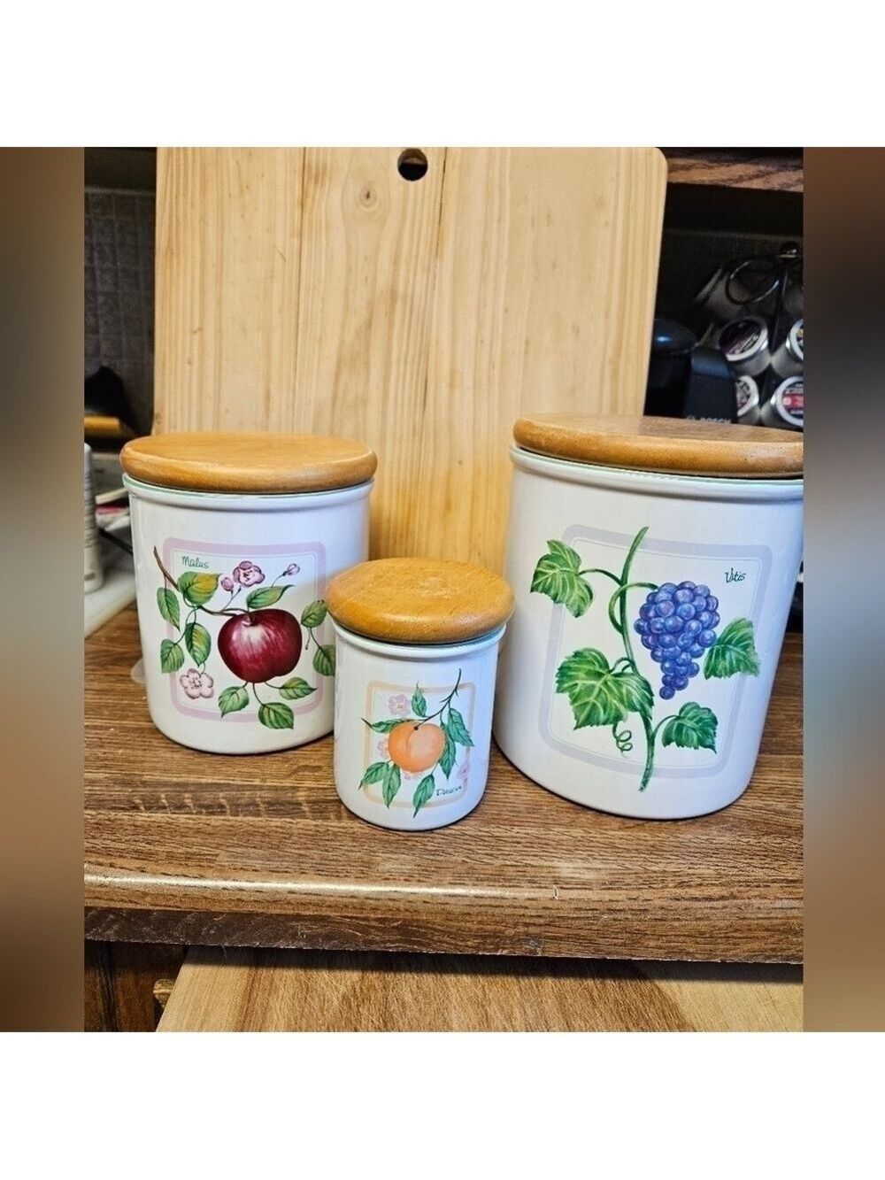 Vintage 70s Set of 3 Himark Ceramic Glazed Botanical Storage Canisters
